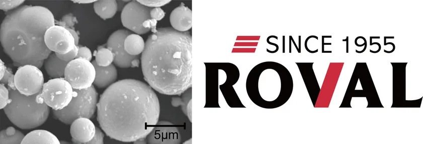 亜鉛粉末のSEM画像/ローバル株式会社