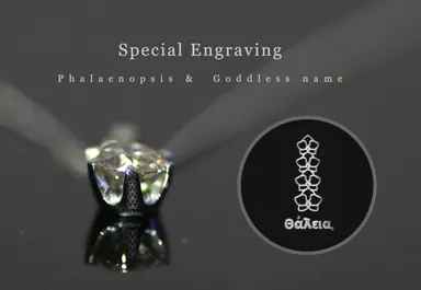 胡蝶蘭「再生」女神「希望」を刻印