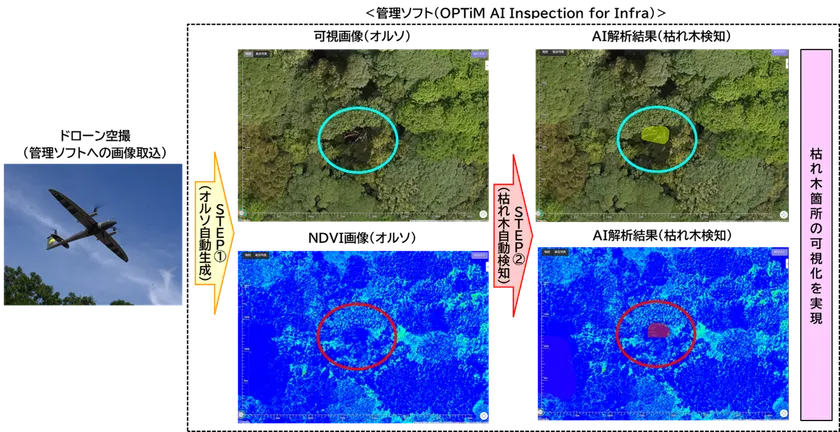 【機能(1)】可視画像とNDVI画像を活用した枯れ木AI検知