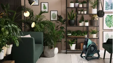 グリーンの多いリビングにそよ風を