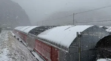 パイプハウスは数年放置されビニールを含めボロボロの状態からのスタート