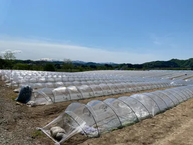 あべ農園の東京ドーム2つ分の広大な敷地