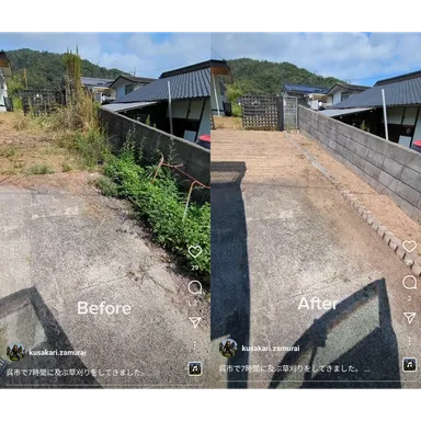 長年の空き家のヨモギ徹底除草