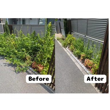 賃貸物件の植栽管理