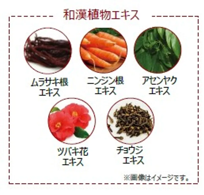 和漢植物エキス