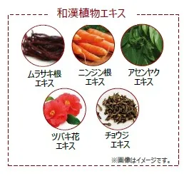 和漢植物エキス