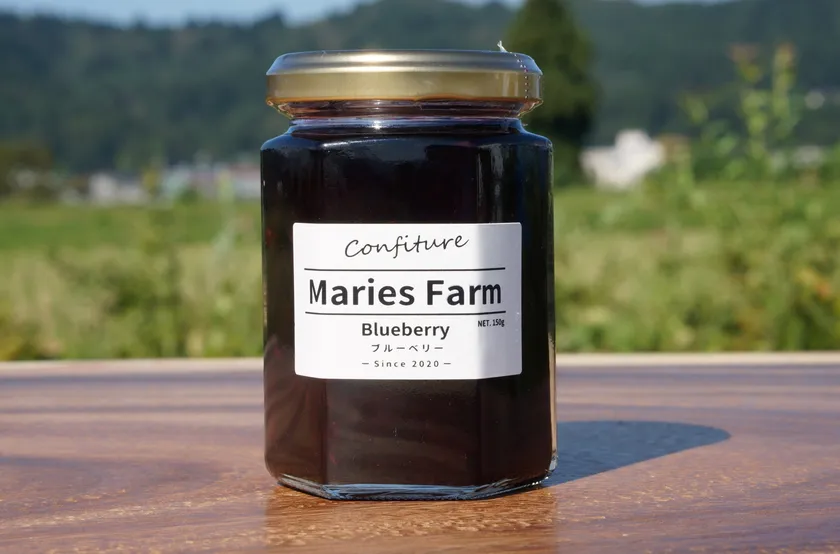 魚沼市 マリーズファームのブルーベリー狩り(4)