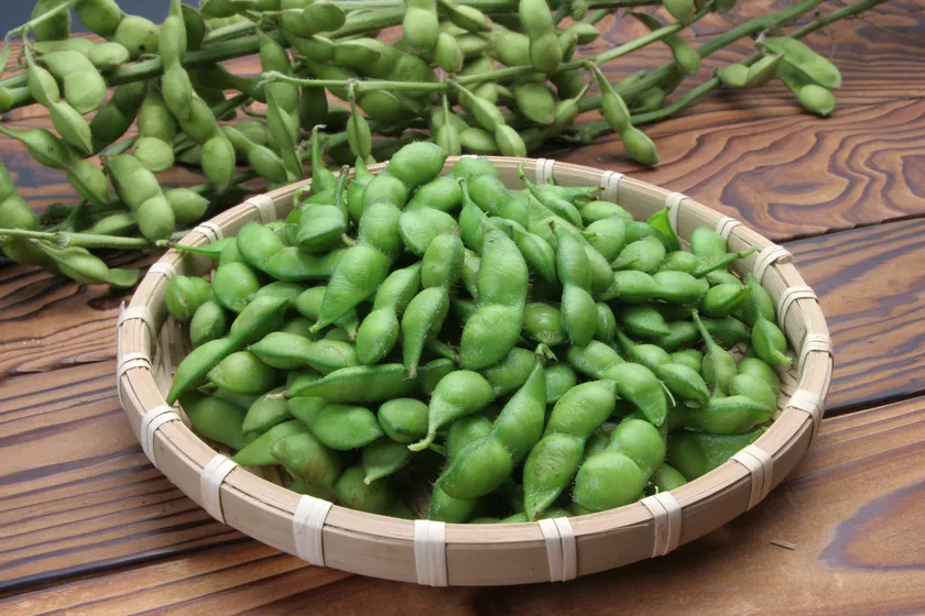 幻の枝豆 だだちゃ豆