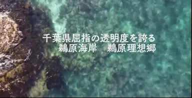 千葉県勝浦市鵜原理想の海水