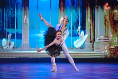 黒鳥　パドドゥ