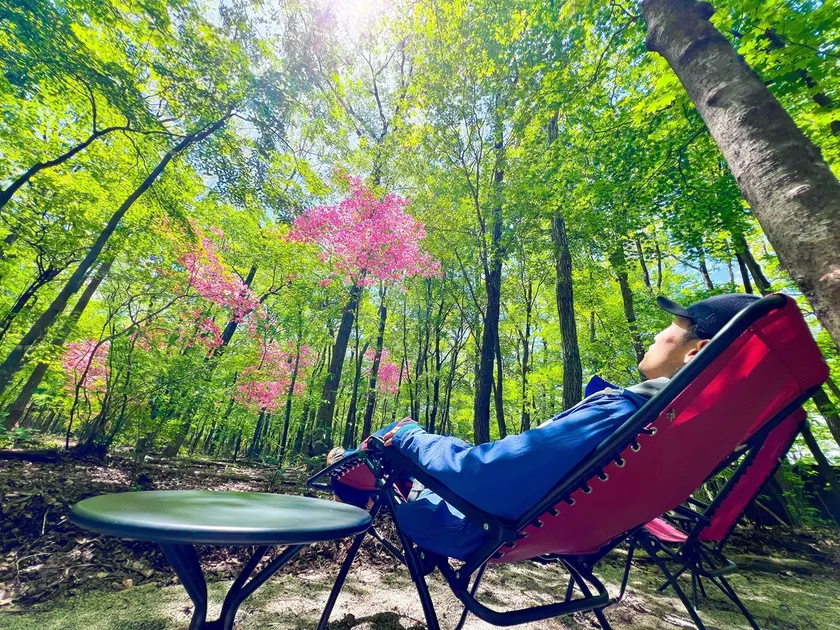 「フォレスト・チェアリング」