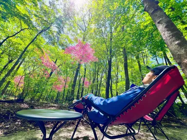 「フォレスト・チェアリング」