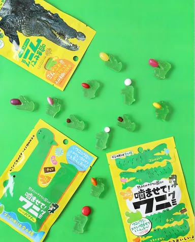 ワニグミ イメージ