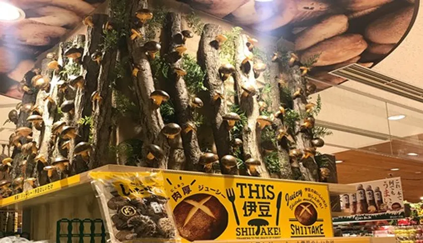 伊豆のへそ店