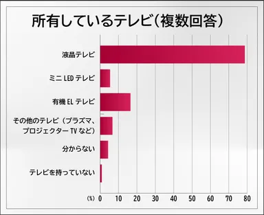 所有しているテレビ