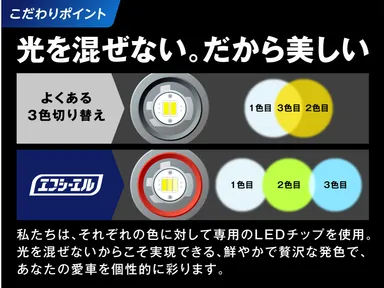 チップの配置とカラー