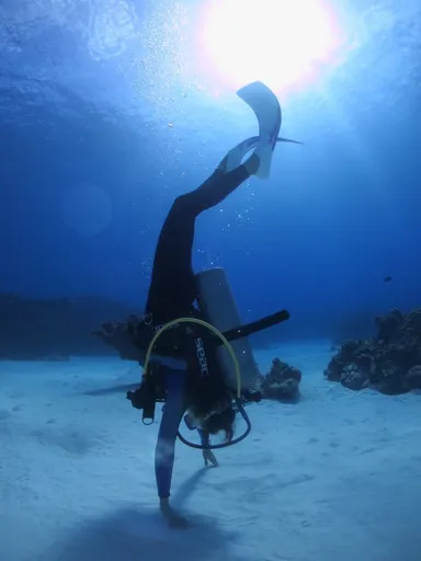 デトックスプログラム【SAMFI】の様子