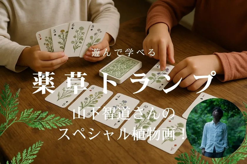 遊んで学べる特典の薬草トランプ。