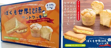 サンドクッキー