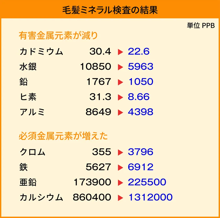 毛髪ミネラル検査の結果