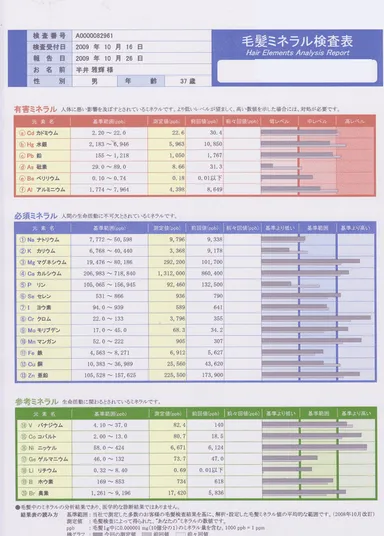 毛髪ミネラル検査表