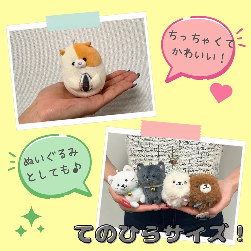 コロンとした手のひらサイズ