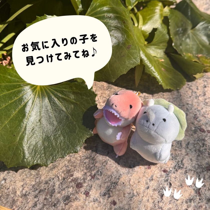 画像8