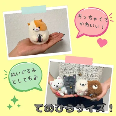 コロンとした手のひらサイズ