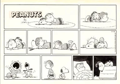 「ピーナッツ」原画　1994年6月26日 (C) Peanuts Worldwide LLC