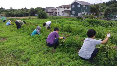 農作業イメージ