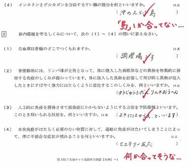 回答例(島根県のあらエッサくん)