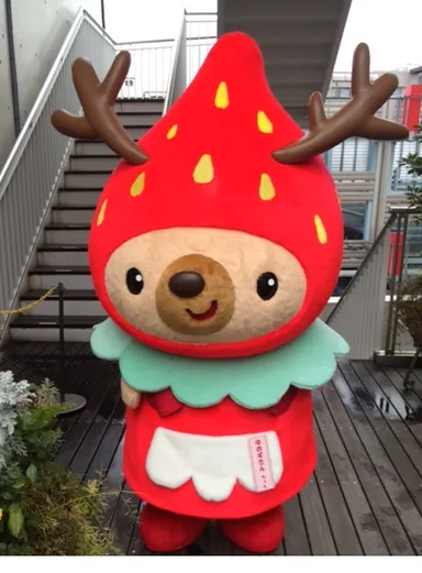 ゆめずきんちゃん