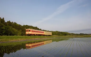 ひたちなか海浜鉄道 車両画像