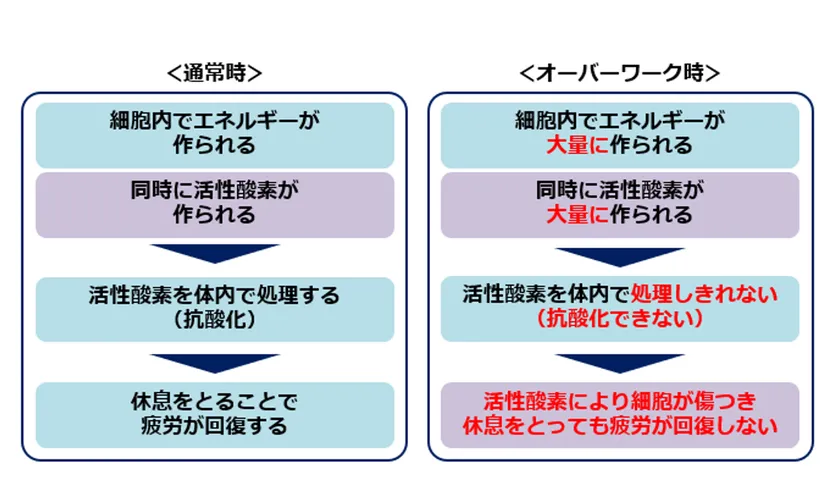疲労とは