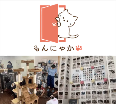 江東ねこの会もんにゃかイメージ