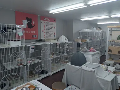 江東ねこの会「もんにゃか」施設内イメージ