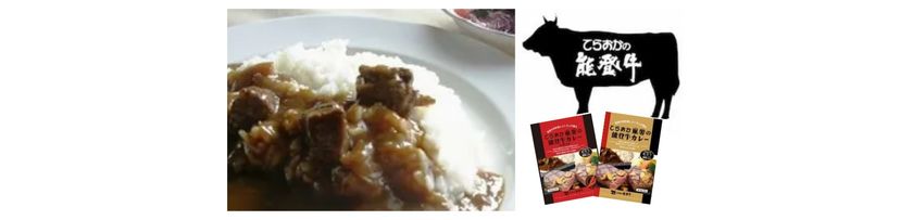 寺岡畜産株式会社「能登・肉料理レストラン『てらおか風舎』能登牛カレー詰合せ」