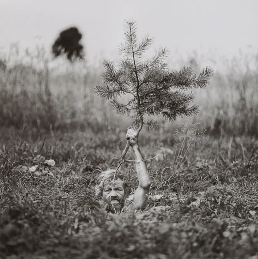 アダム・パンチュク《カルチェビー》2008年 (C) Adam Panczuk