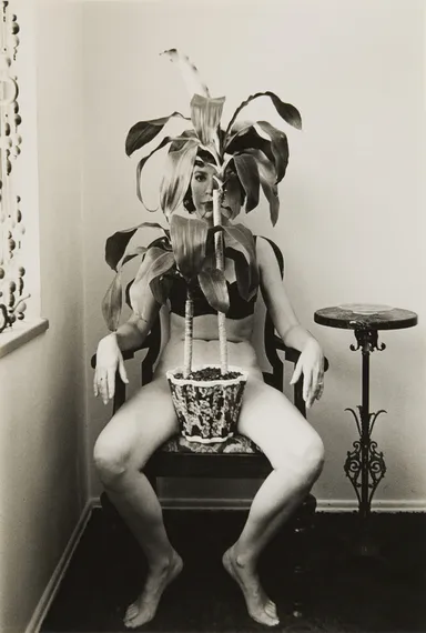 ジョー・アン・キャリス《無題》1974年 (C) Jo Ann Callis