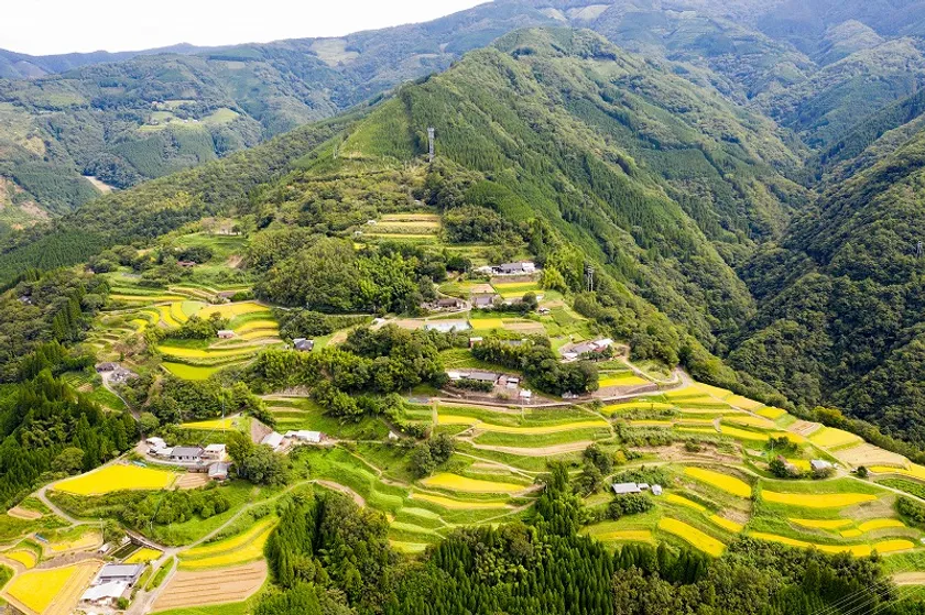 椎葉村の棚田