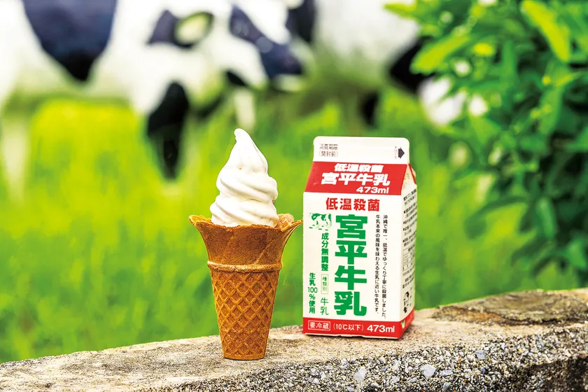 【宮平乳業】「宮平乳業ソフトクリーム」