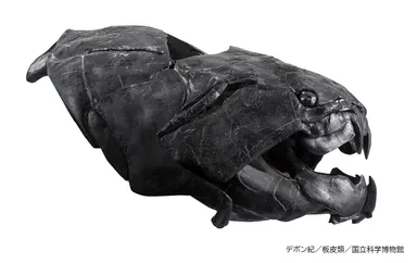 ダンクルオステウス（レプリカ）