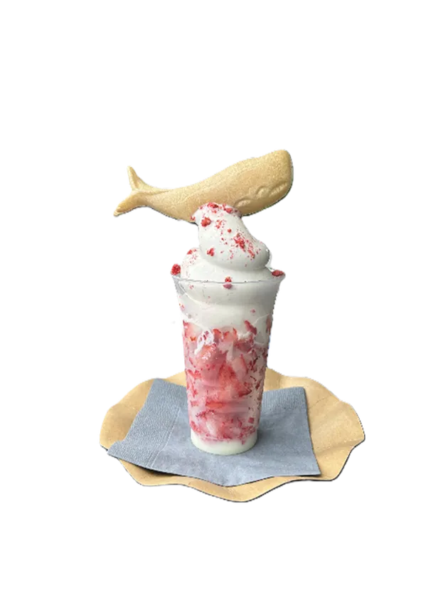 南房総産 削りいちごソフト