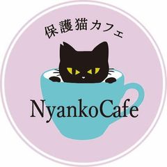 保護猫カフェ「にゃんこカフェ」