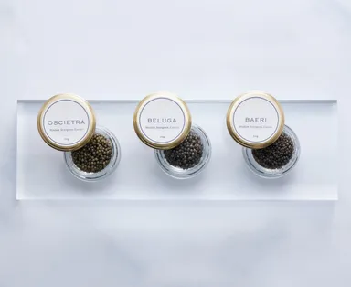 商品ラインナップ