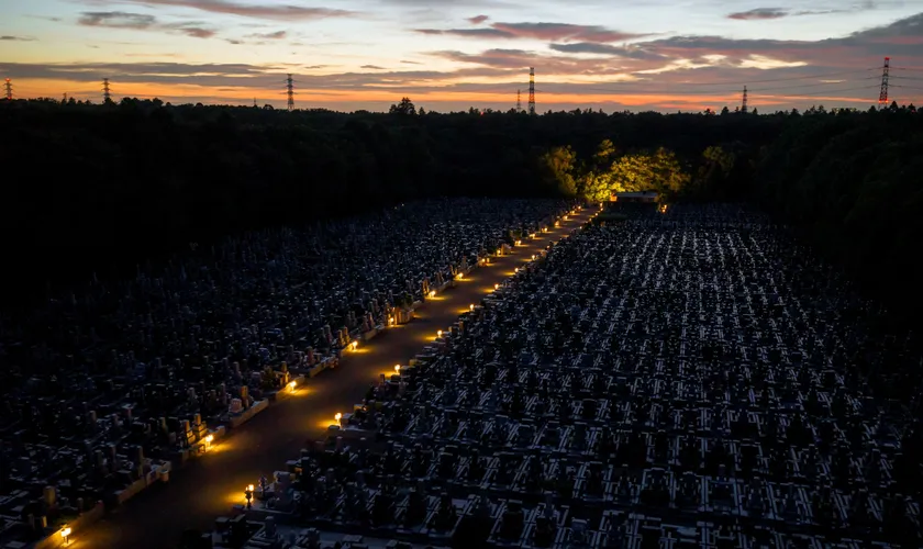 船橋昭和浄苑の参道を月燈慈が優しく照らします