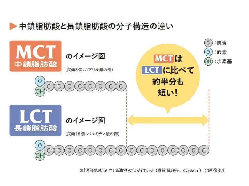 中鎖脂肪酸と長鎖脂肪酸の分子構造の違い