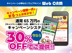 今ならキャンペーンシステム30％OFF！！