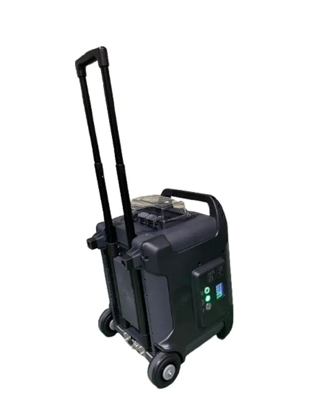 蓄電丸 キャリー