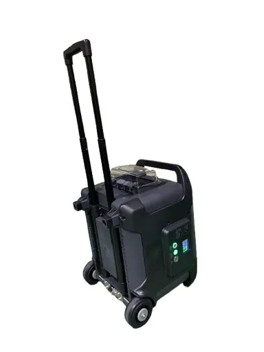 蓄電丸　キャリー